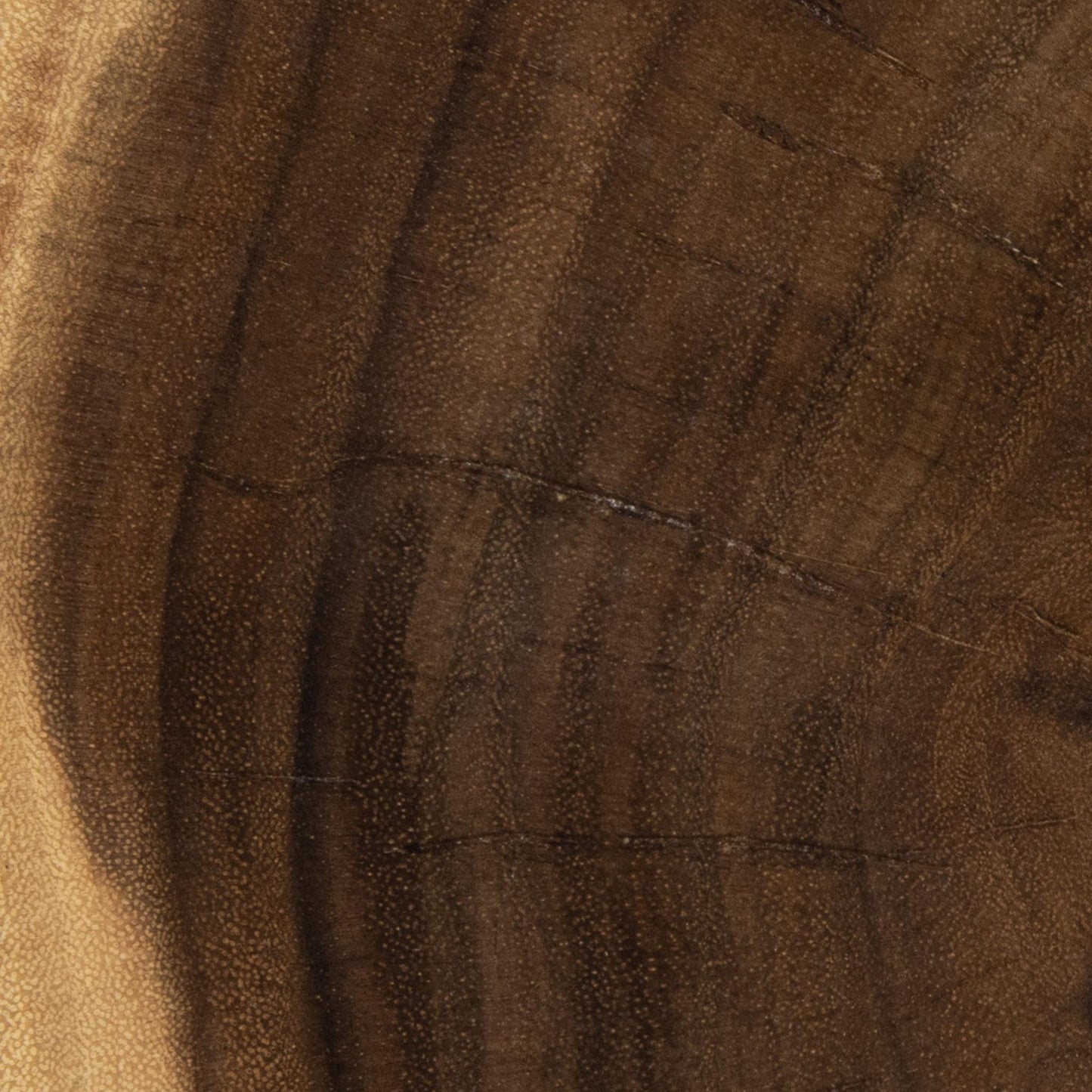 Natural Suar Wood Accent & End Table Keila Accent Table Collection
