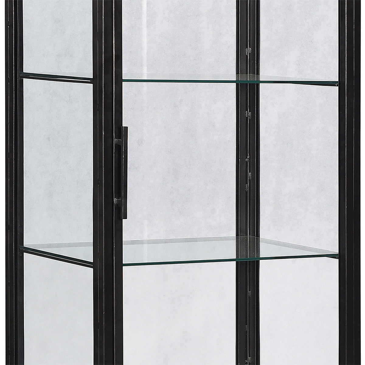 Modern Iron Frame and Glass Doors Cabinet