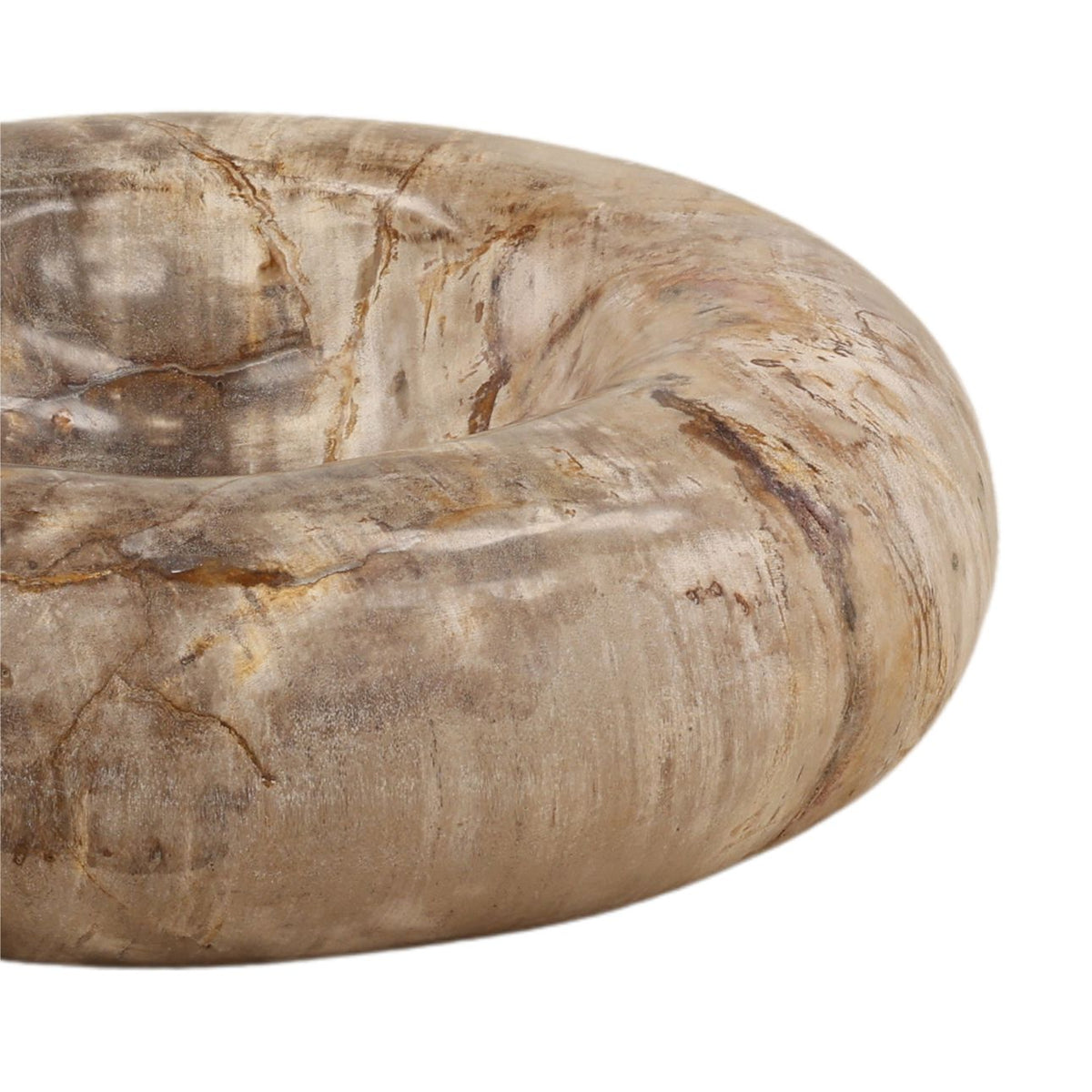 Crafted Petrified Wood Decor Accent
