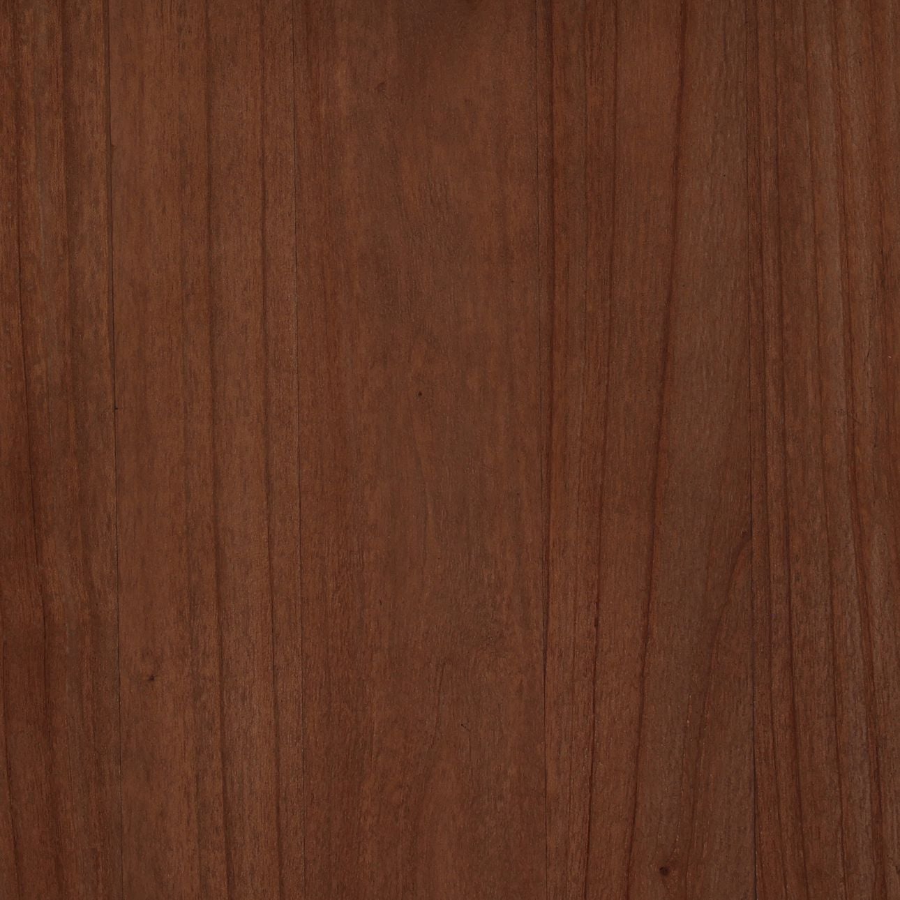Medium Brown Mindi Wood Desk 55 in Wide