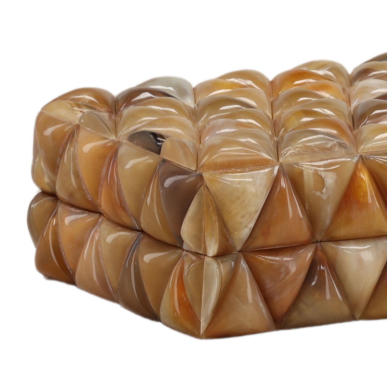 Natural Natural Horn and Engineered Wood Box 8 in Wide