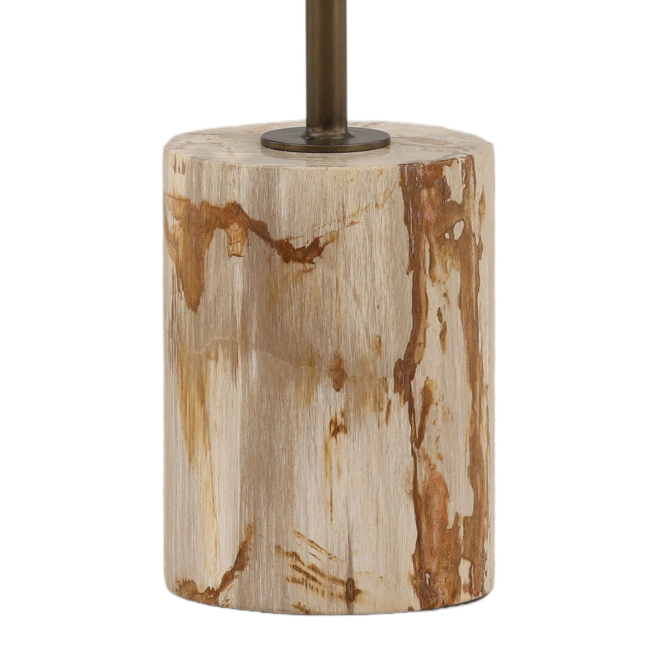 Light Natural and Antique Brass Petrified Wood and Iron Table 14 in Wide