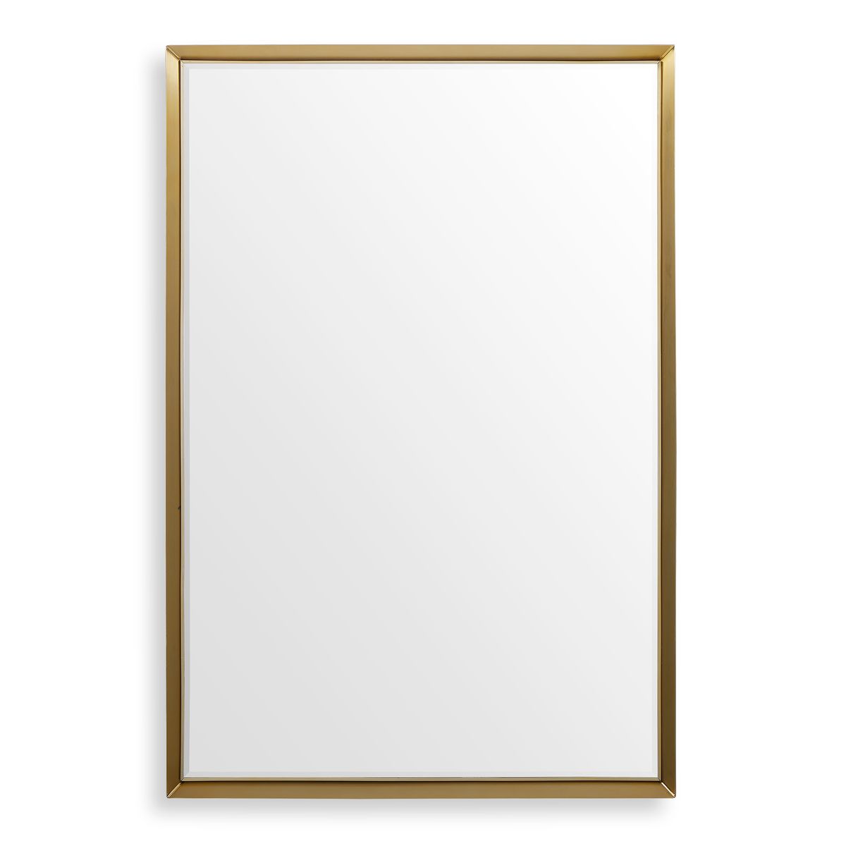 Refined Mirror