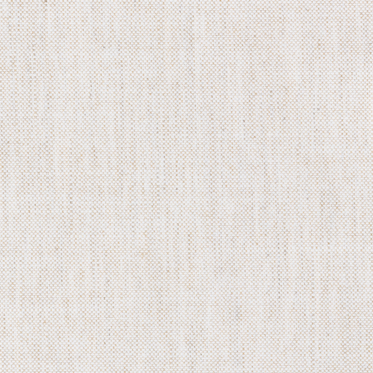 Curated 100% Polyester Swatch