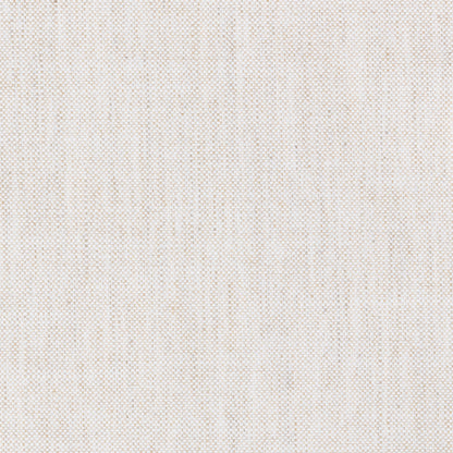 Curated 100% Polyester Swatch