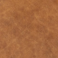 Curated 100% Top Grain Leather Swatch