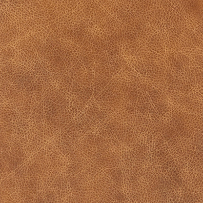 Curated 100% Top Grain Leather Swatch