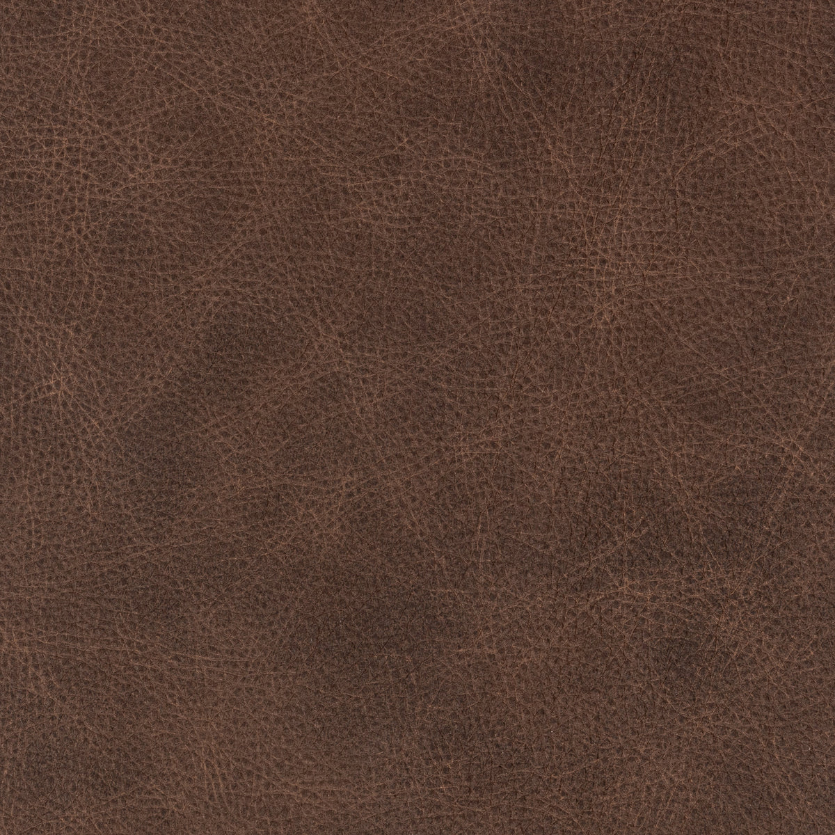 Curated 100% Top Grain Leather Swatch