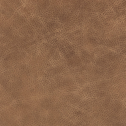 Curated 100% Top Grain Leather Swatch