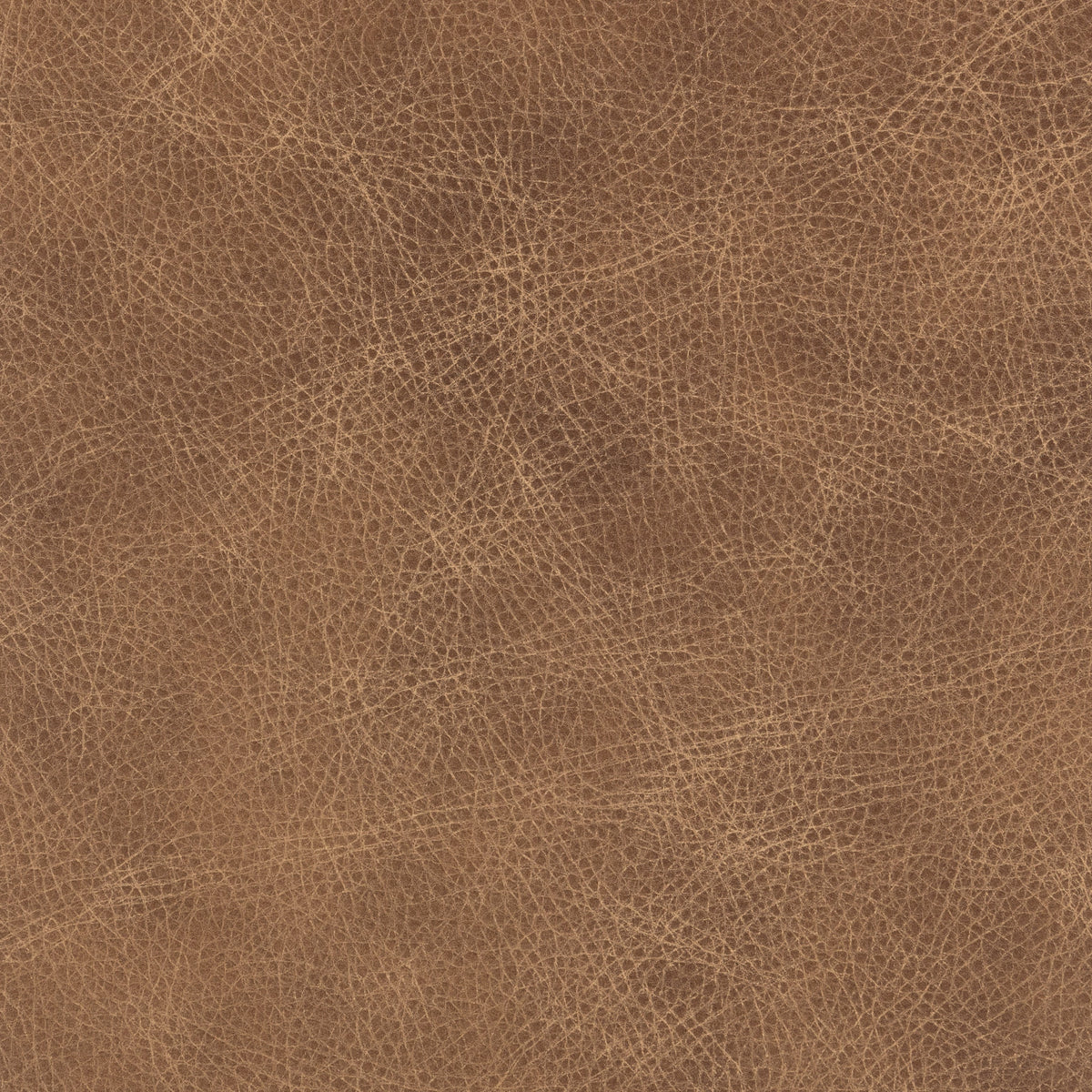 Signature 100% Top Grain Leather Swatch