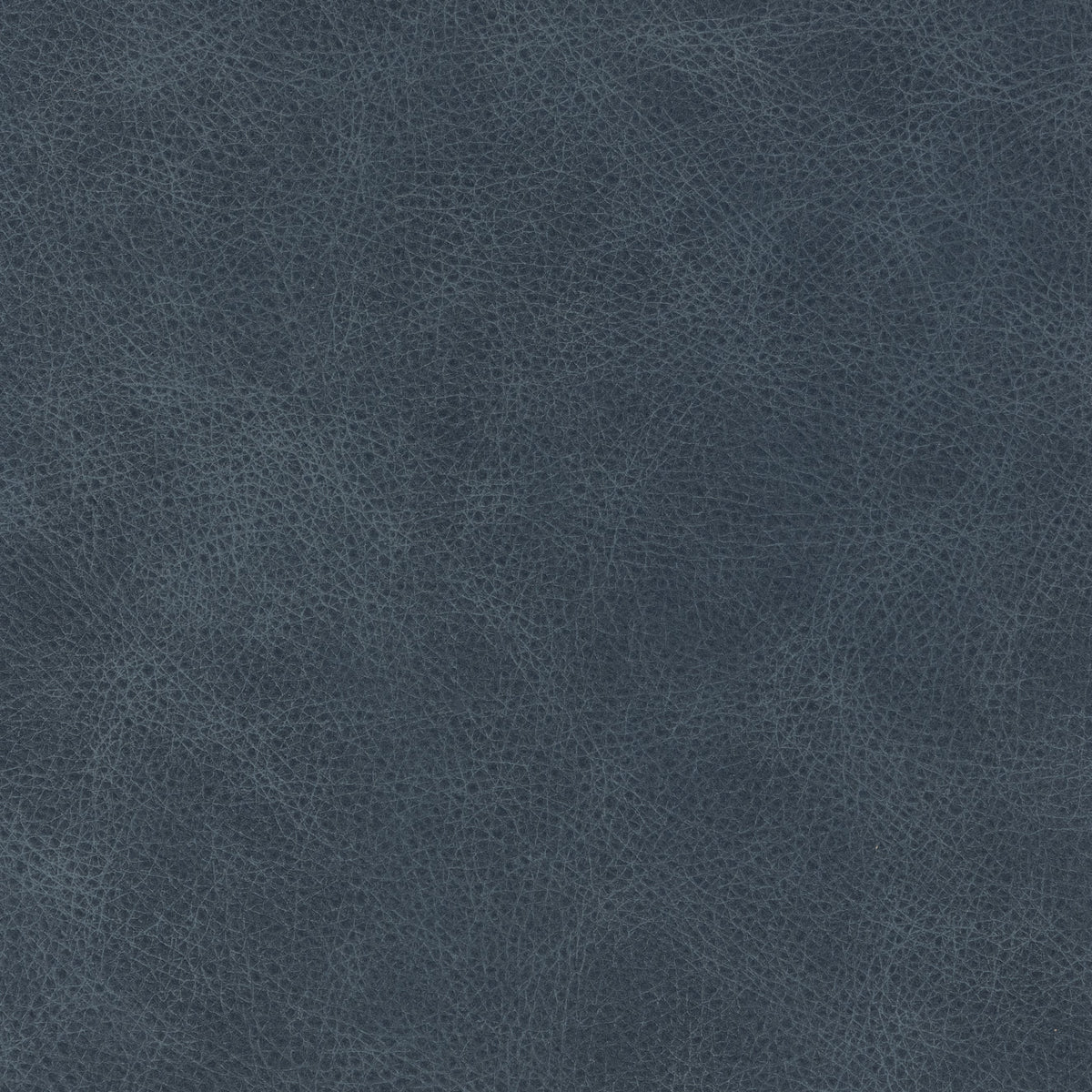 Signature 100% Top Grain Leather Swatch