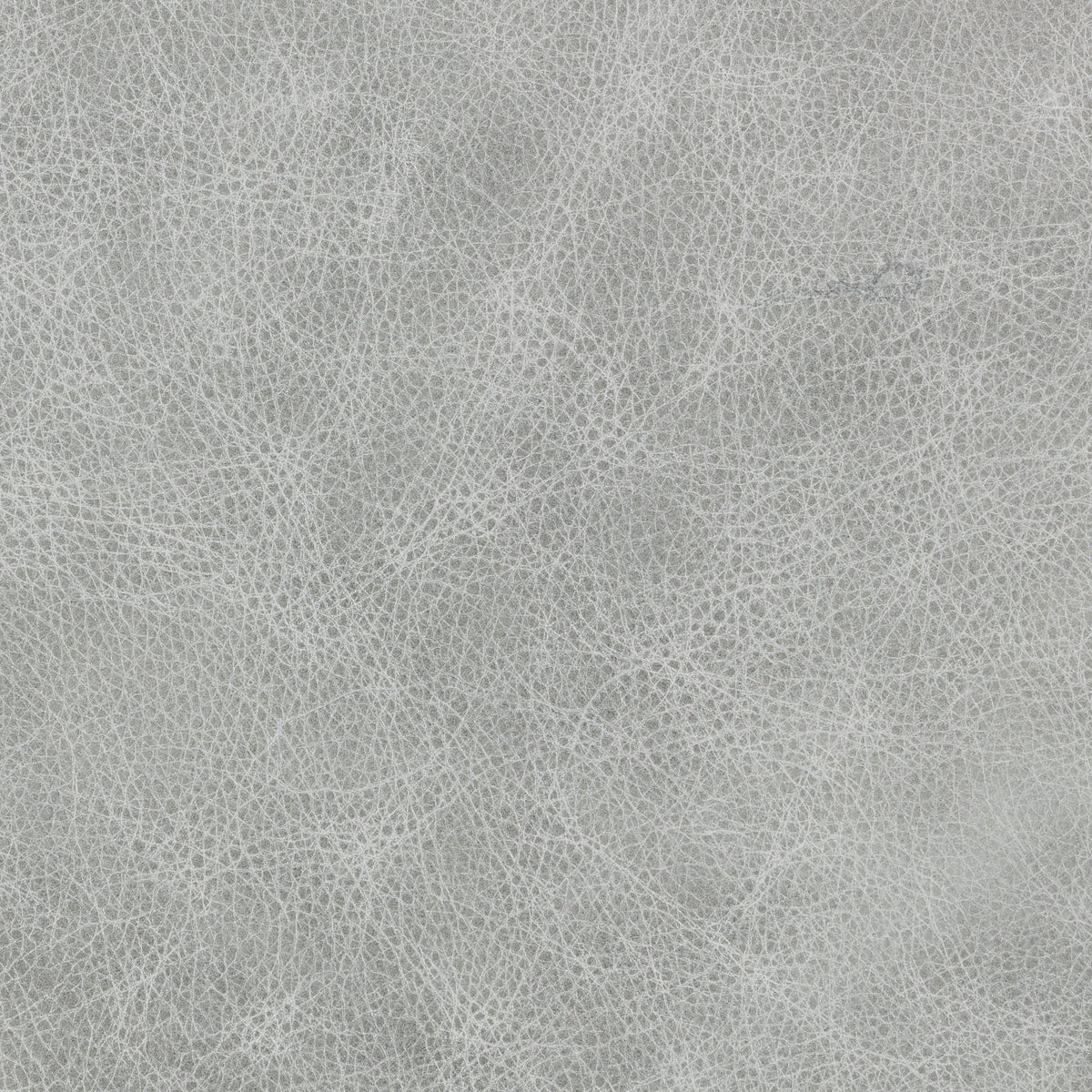 Signature 100% Top Grain Leather Swatch