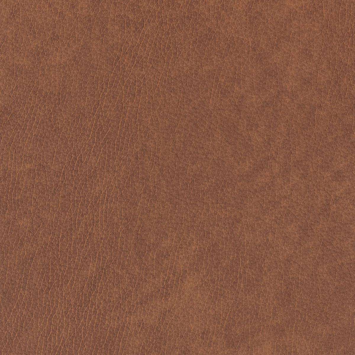 Signature 100% Top Grain Leather Swatch