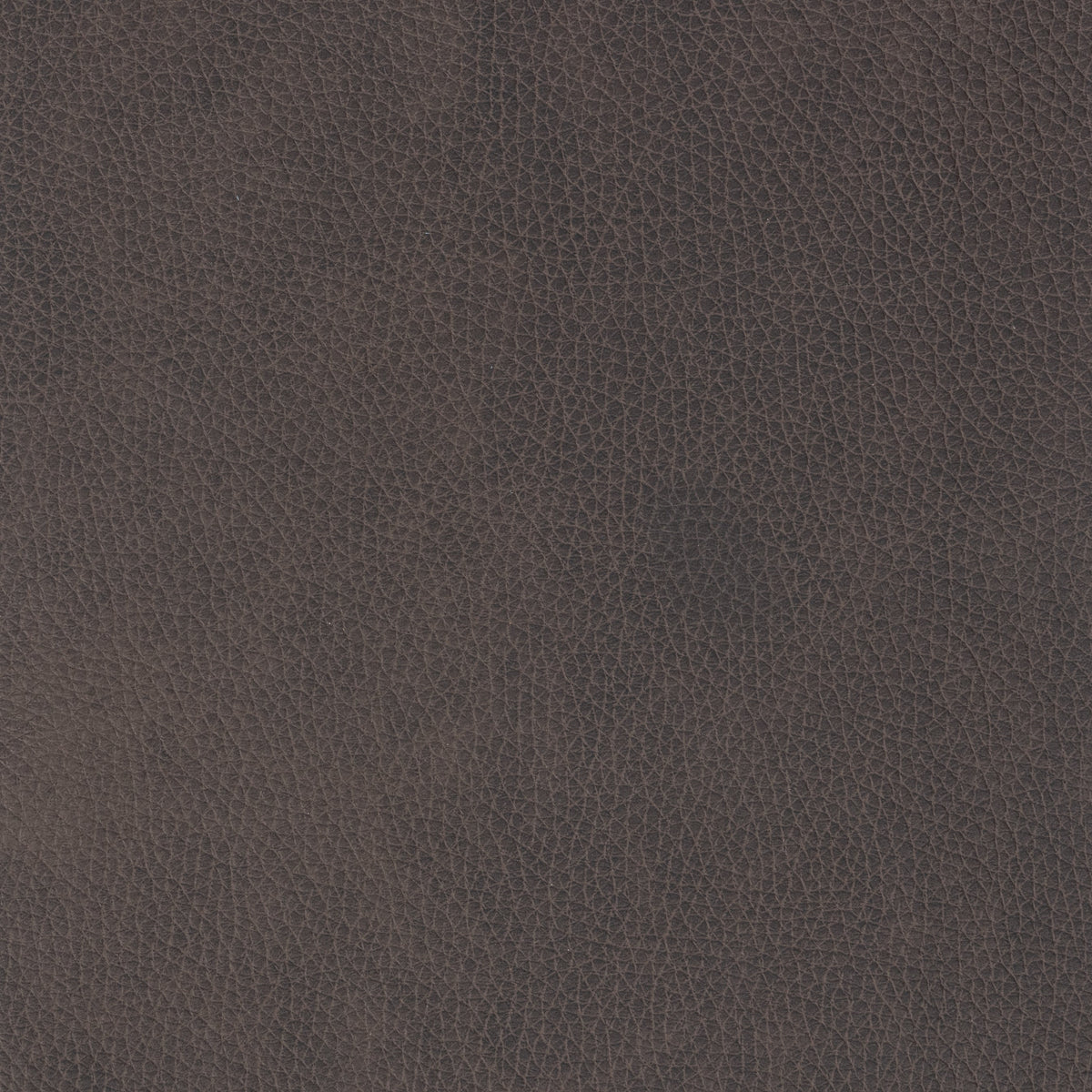Curated 100% Top Grain Leather Swatch