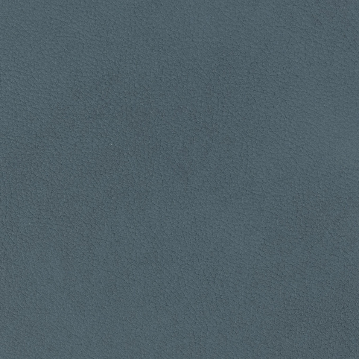 Signature 100% Top Grain Leather Swatch