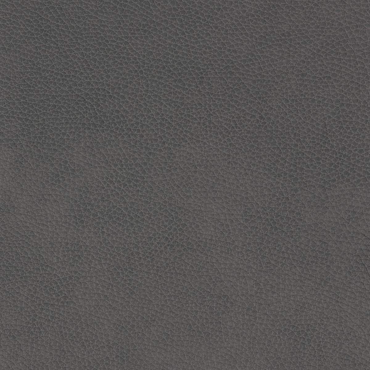 Signature 100% Top Grain Leather Swatch