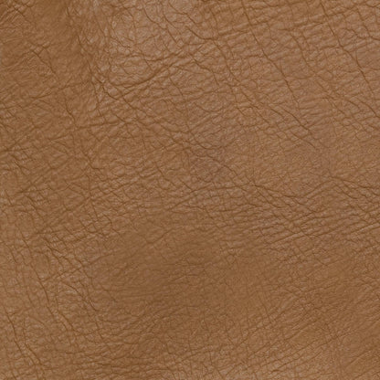 Curated 100% Top Grain Leather Swatch