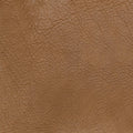 Signature 100% Top Grain Leather Swatch