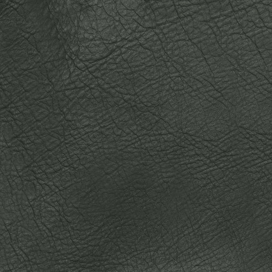 Curated 100% Top Grain Leather Swatch