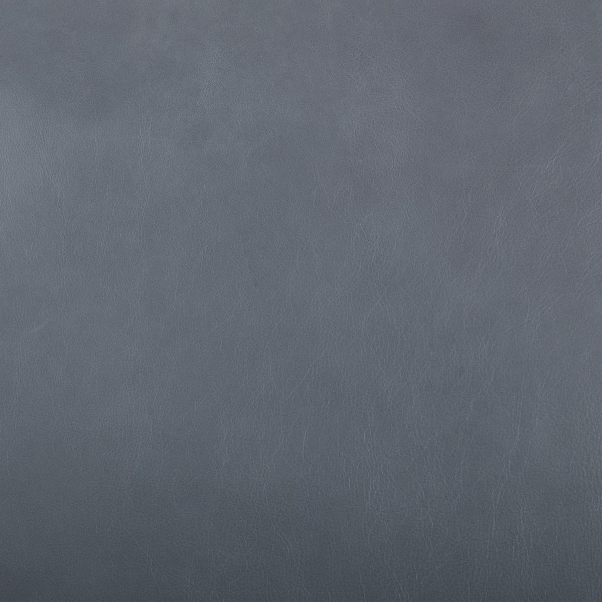 Curated 100% Top Grain Leather Swatch