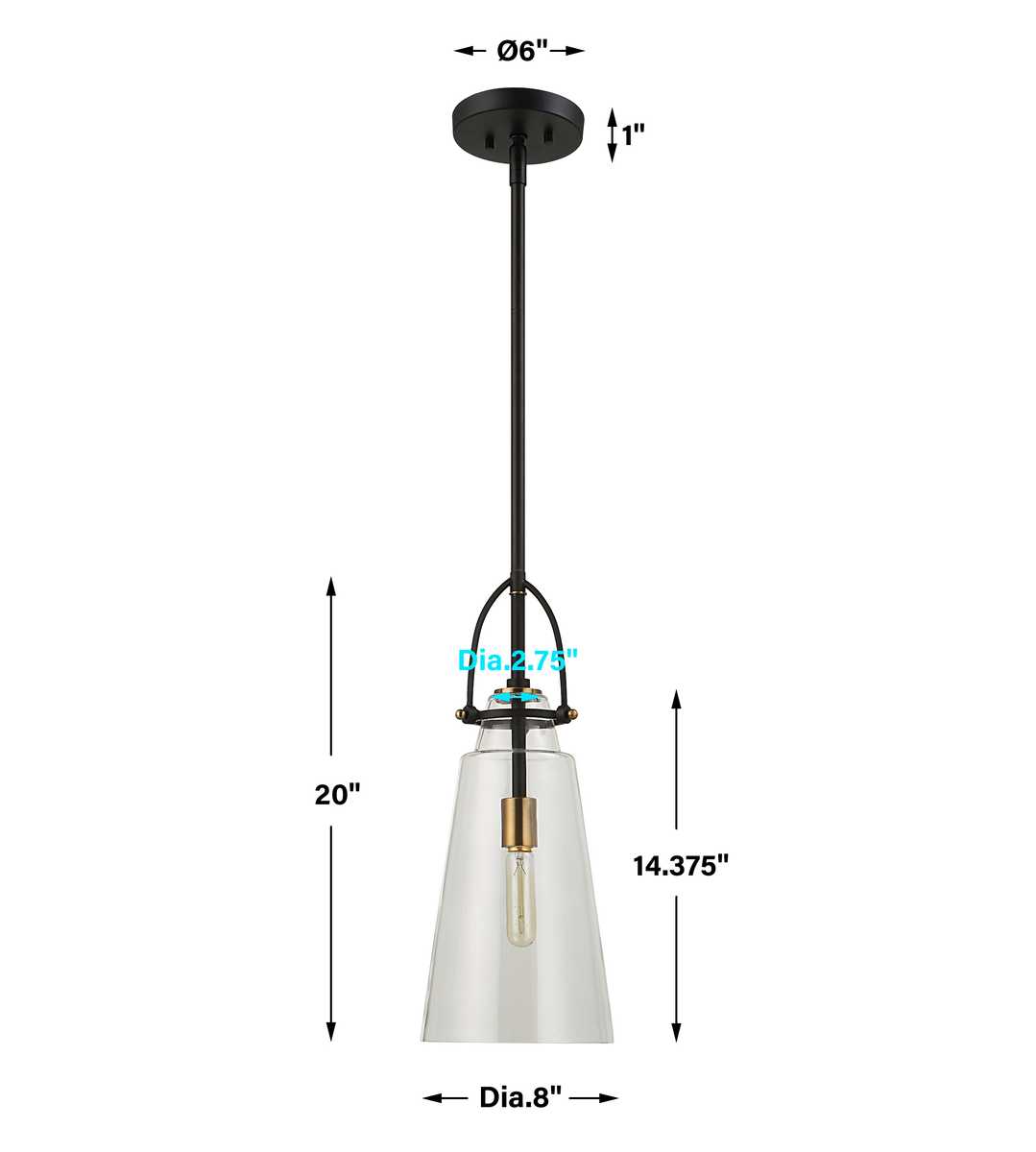 Curated Pendant