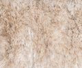 Larkspur 2 Rug