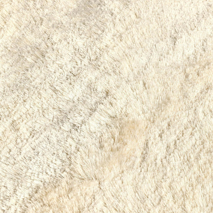Ivory 80% Polyester Wool & Wool Blend Carter Shag Rug Collection