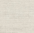 Whitmore 2 Rug