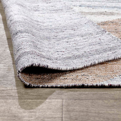 Multi 100% Polyester Performance Indoor/Outdoor Indoor/Outdoor Savanna Rug Collection