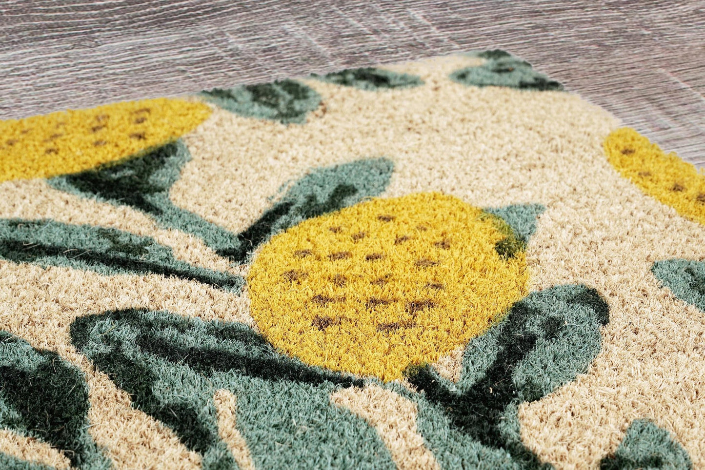 100% Coir / PVC Backing Doormat Doormat Lemon Tree Multi 24x36 Collection