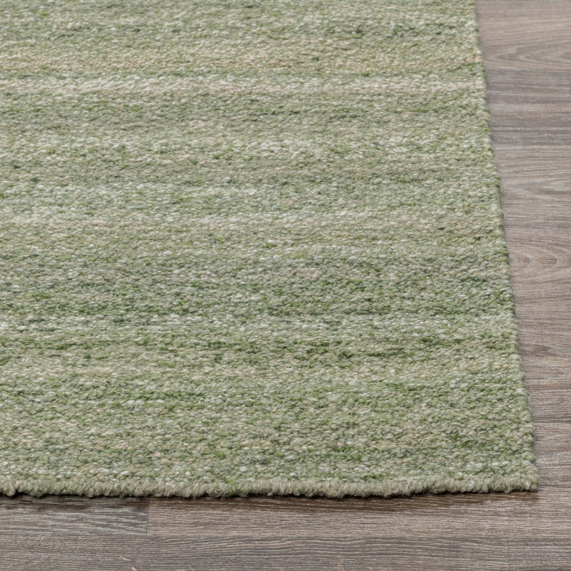 Green 100% Pet Yarn Performance Indoor/Outdoor Performance Blythe Rug Collection