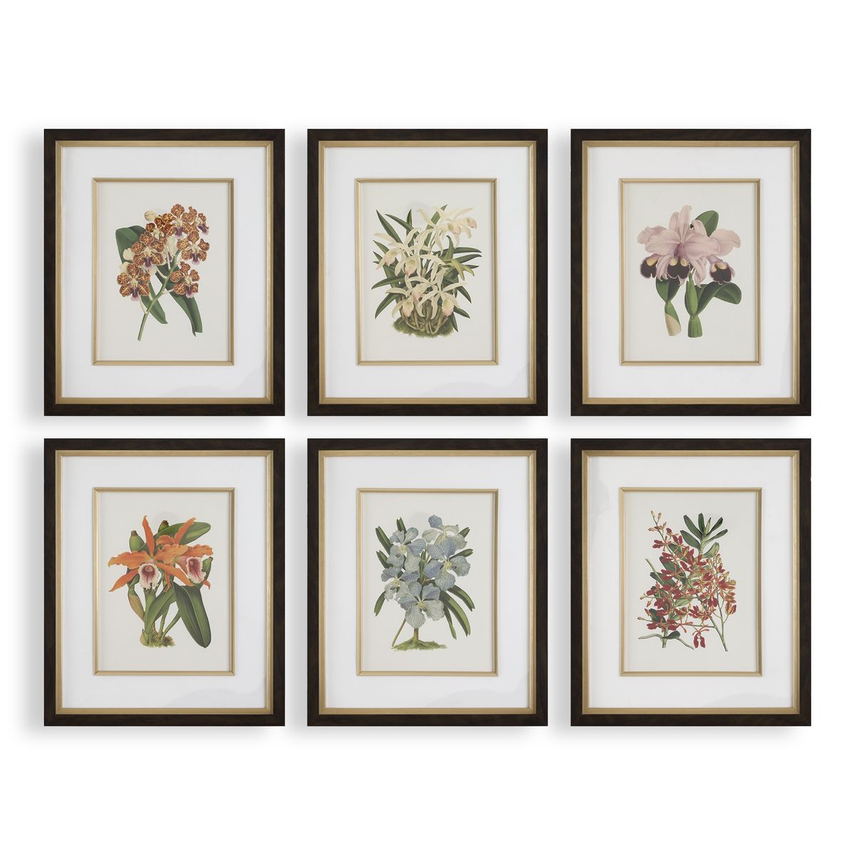 Curated Art