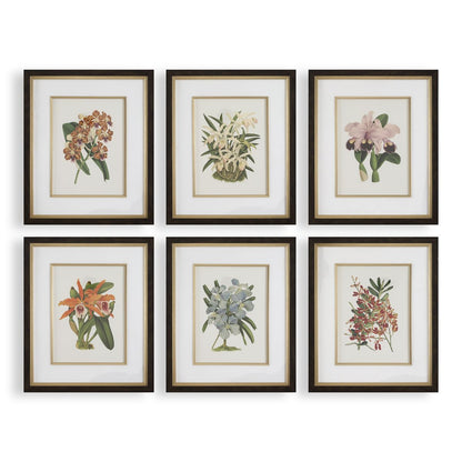 Curated Art