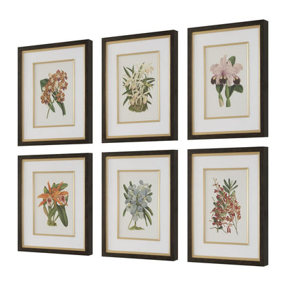 Curated Art