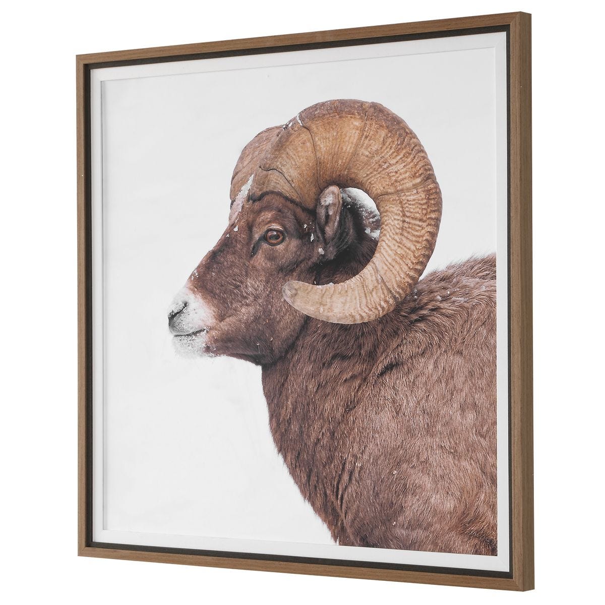 Curated Wall Decor
