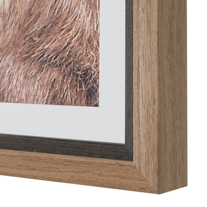 Curated Wall Decor