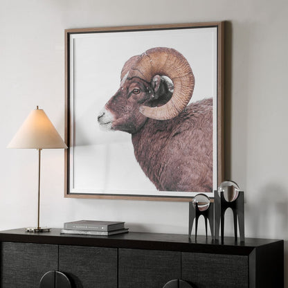 Curated Wall Decor