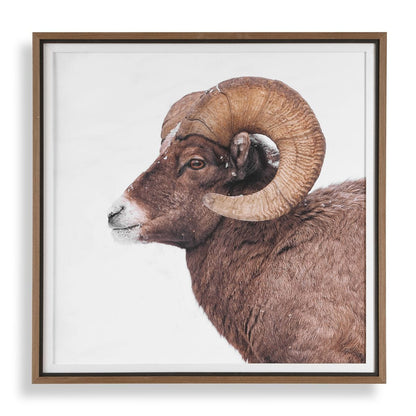 Curated Wall Decor