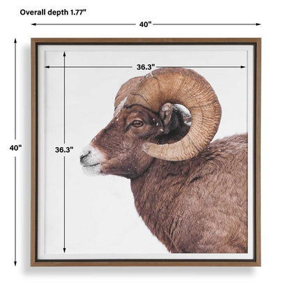 Curated Wall Decor