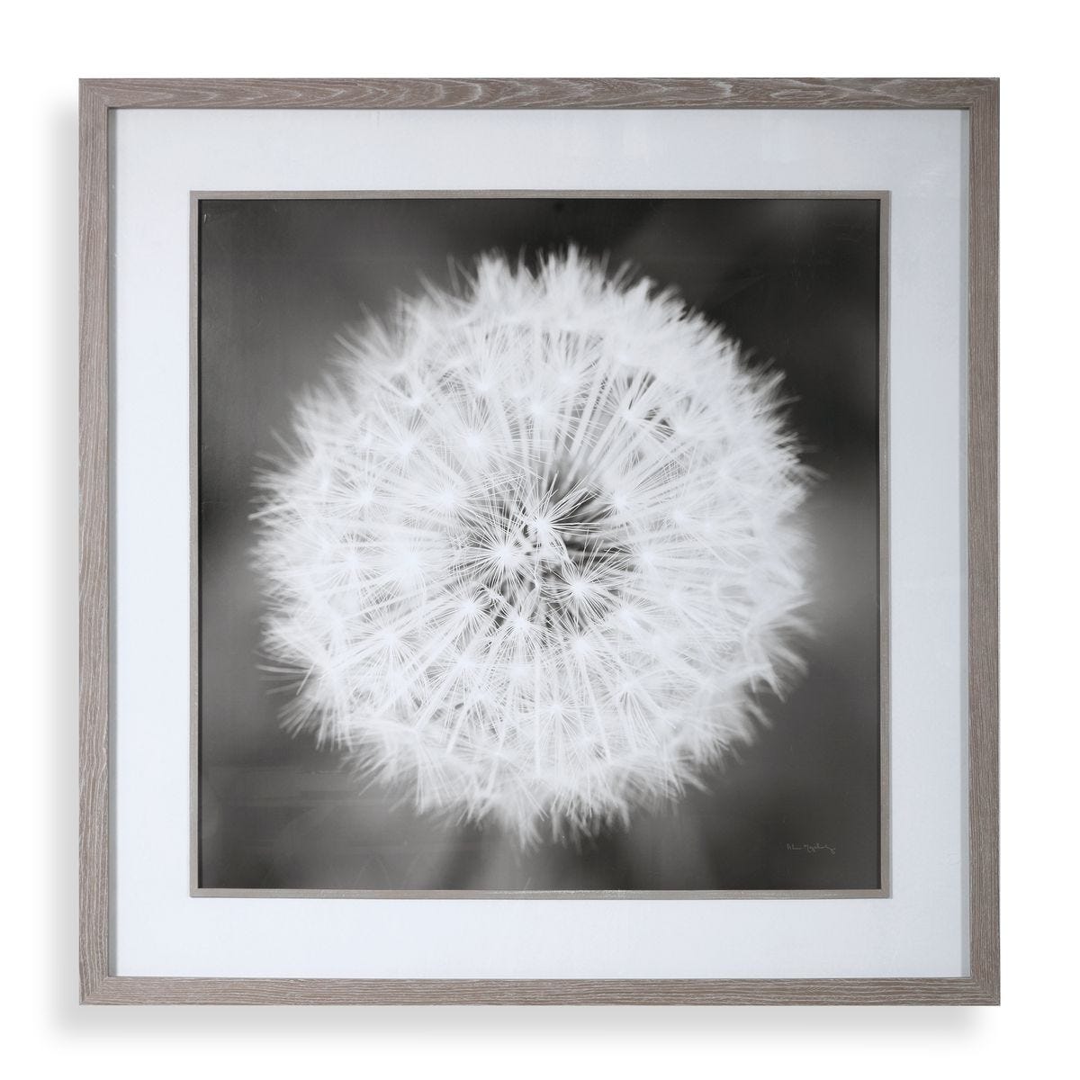 Refined Wall Decor