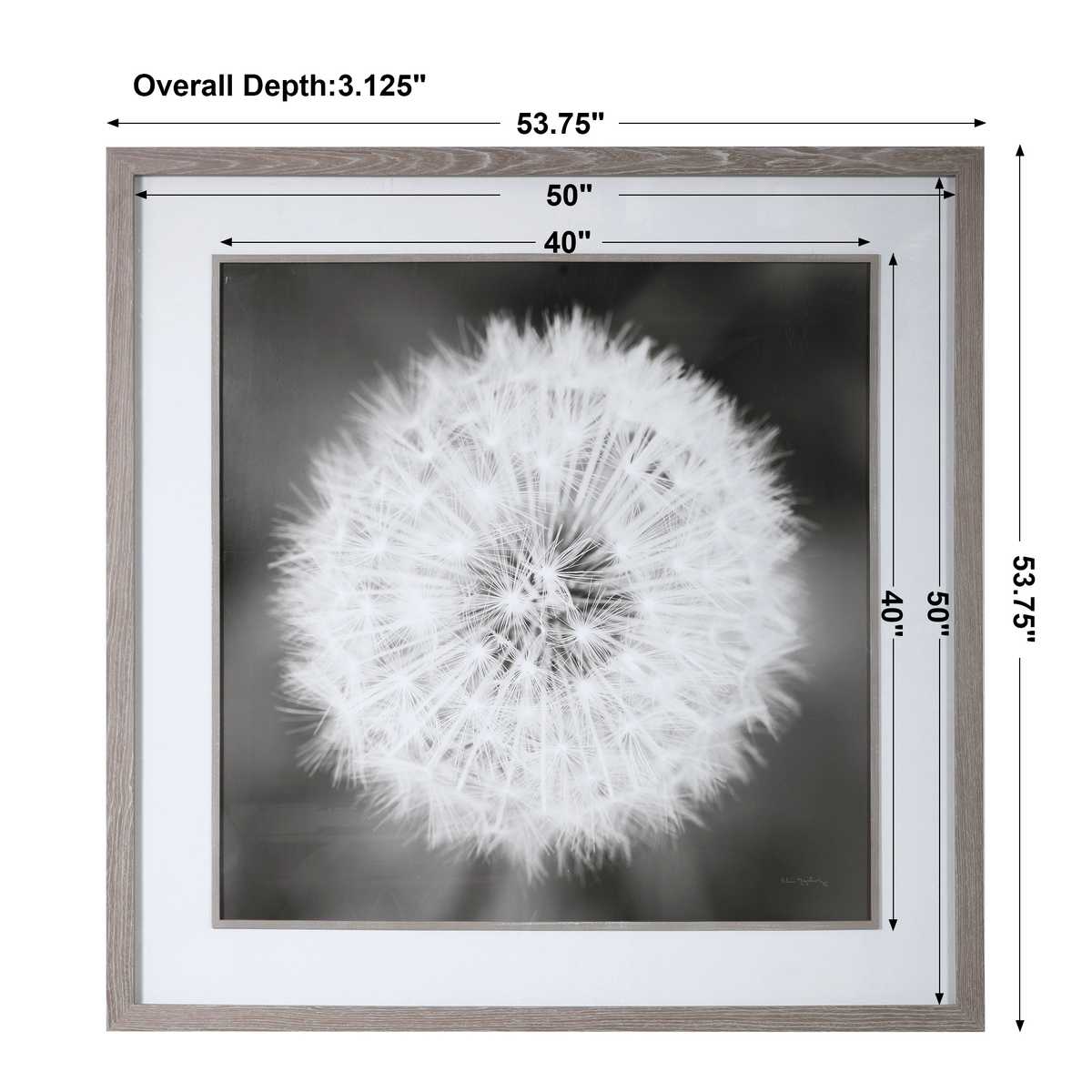 Refined Wall Decor