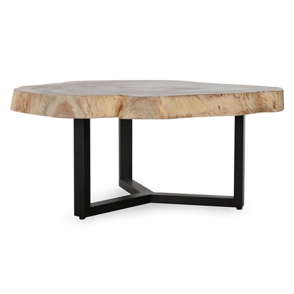 Natural Suar Wood Coffee Table Celine Coffee Table Collection