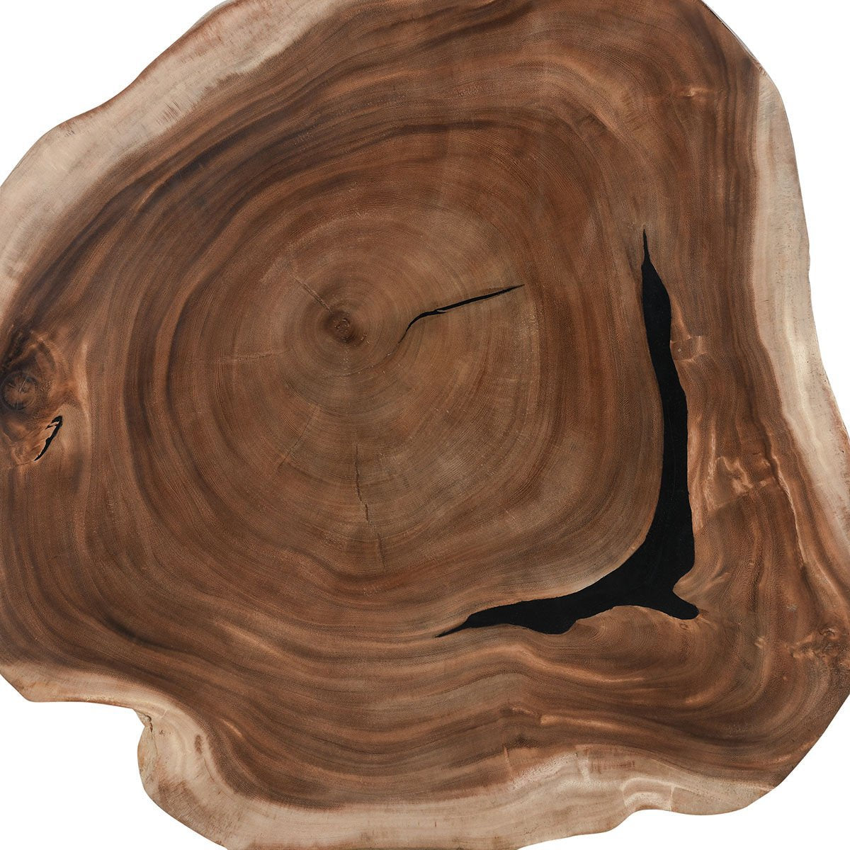 Natural Suar Wood Coffee Table Celine Coffee Table Collection