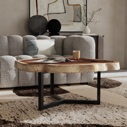 Natural Suar Wood Coffee Table Celine Coffee Table Collection