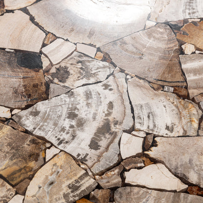 Natural Petrified Wood Console Table Norwest Console Table Collection