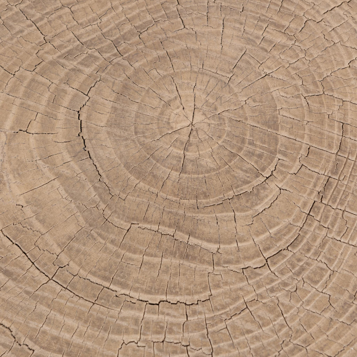 Larkspur 4 Accent Table