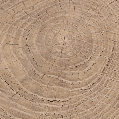 Larkspur 4 Accent Table