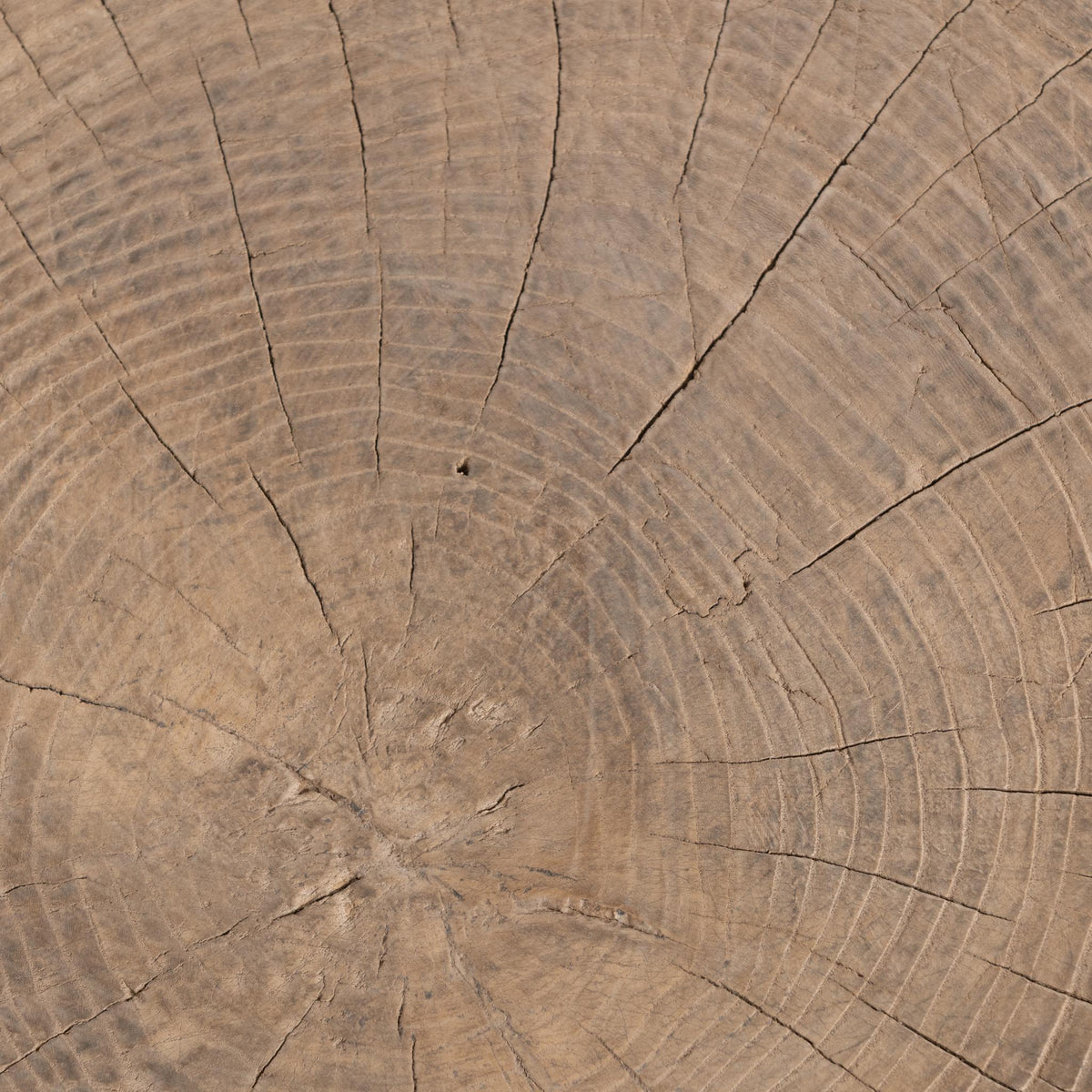 Larkspur 4 Accent Table