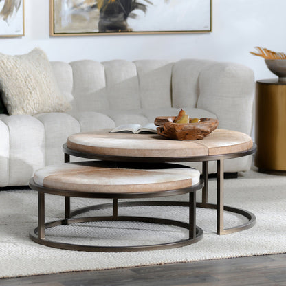 Canyon Sand Hair on Hide Coffee Table Hayword Coffee Table , Set of 2 Collection
