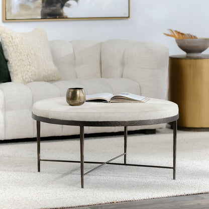 Dusty Cream Hair on Hide Coffee Table Bose Coffee Table Collection